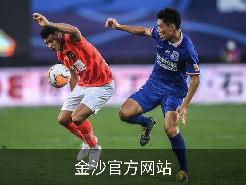 了解金沙官方网站